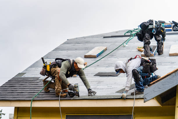 Professional Gutter Installation technician working in Noti, OR